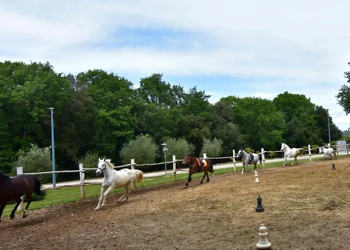 Noemi1 By Interhome Appartamento Porec