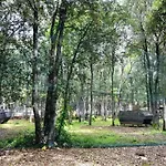 Noemi1 By Interhome Διαμέρισμα *